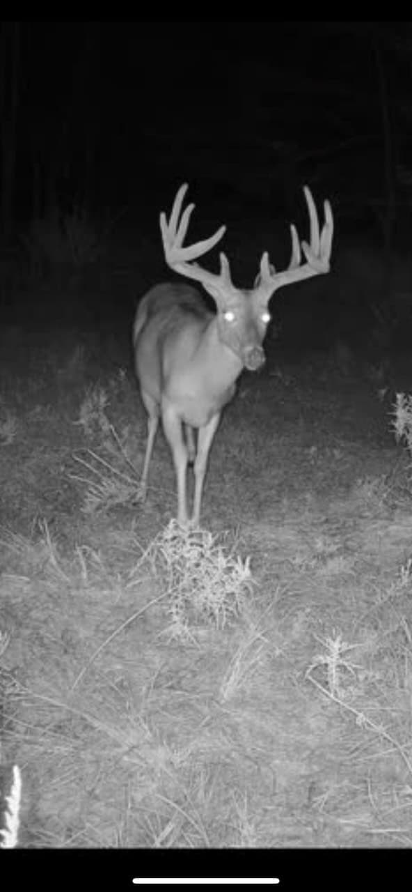 Catcher Ranch: 785 ± Acre Conservation Ranch & Trophy Whitetail Hunting Property Near Stuart, Oklahoma