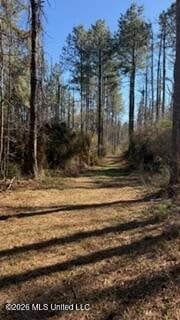 Amite County MS Turnkey 45 Acres