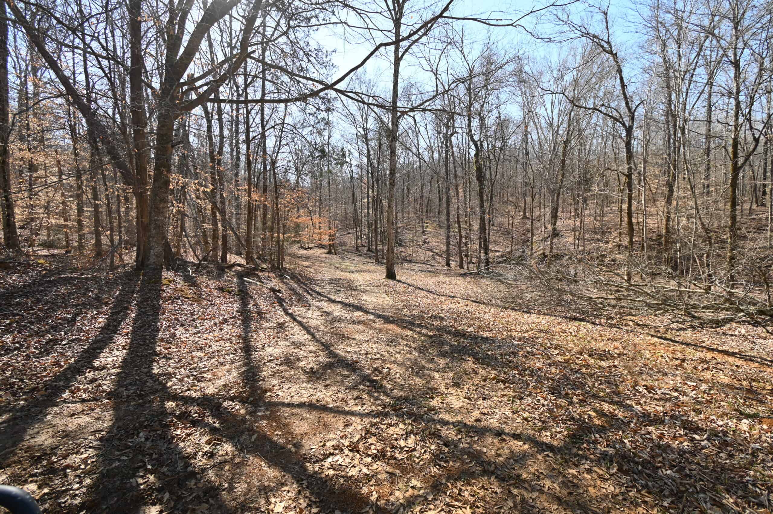 107.63 Acres For Sale in Middle Tennessee!