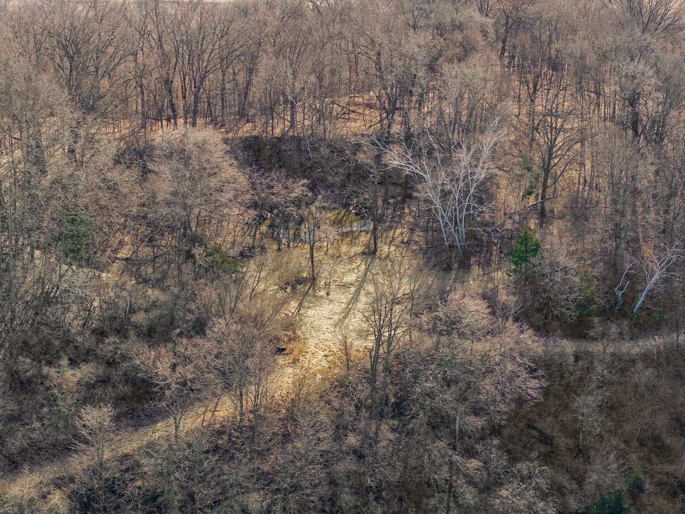50 Acre Recreational -Hunting Land For Sale Richland County WI