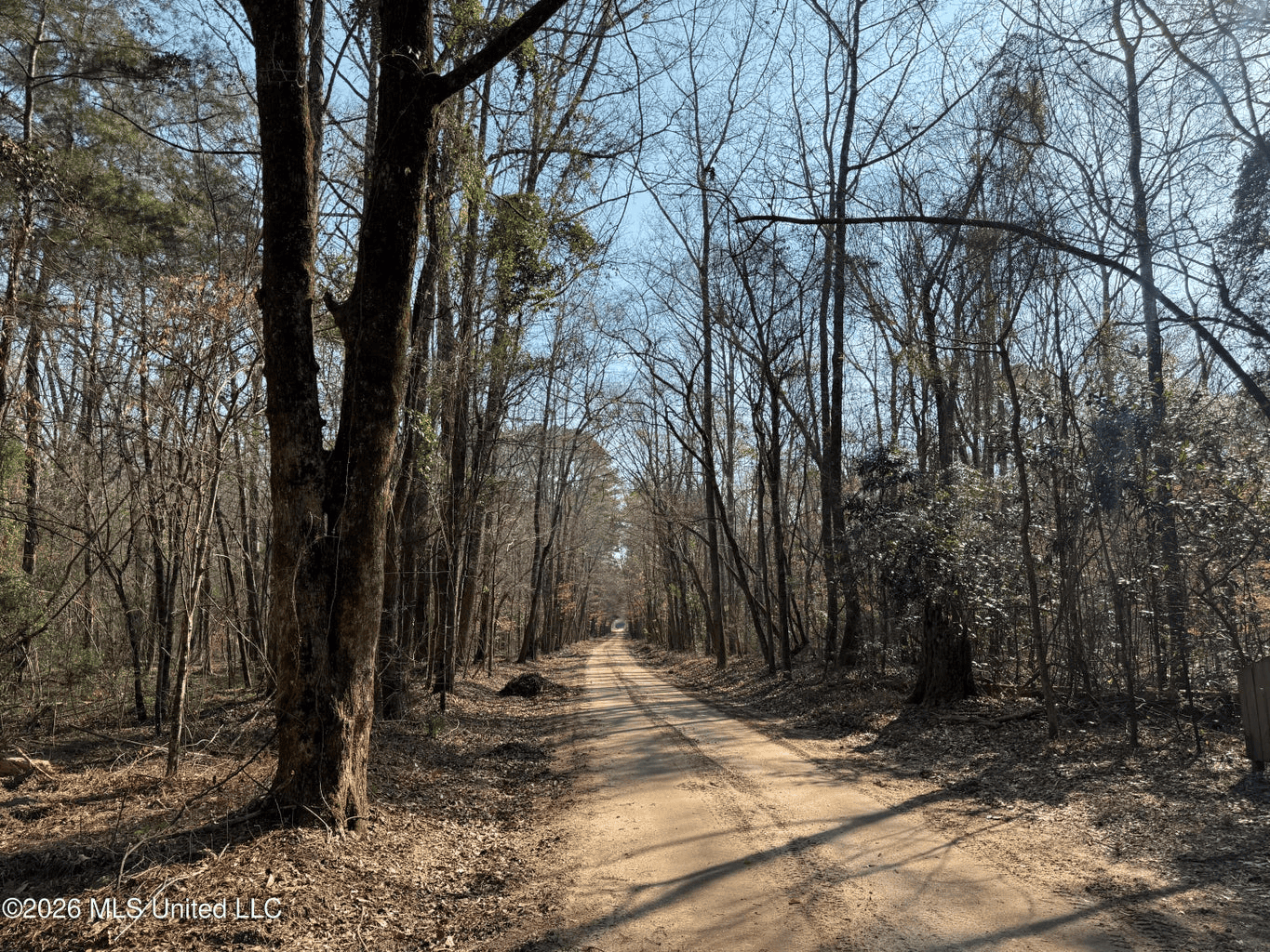 Land for Sale in Simpson County