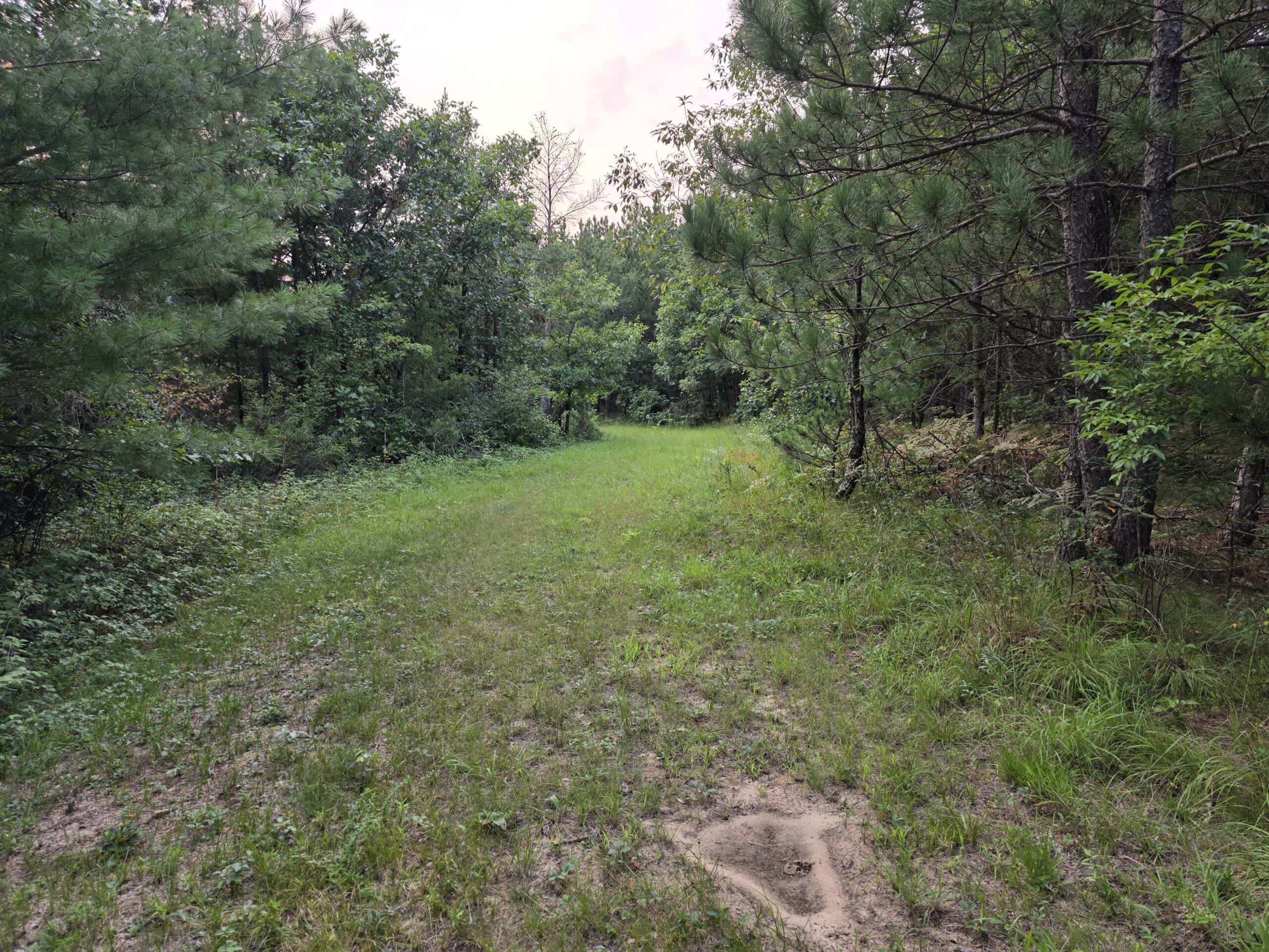 160± acre Monroe County property Located off dead end road,
