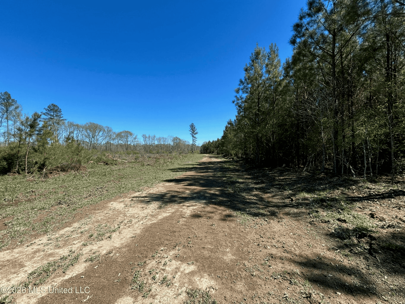 123± Acres Centreville MS on Chance Rd Amite County