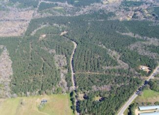 46± Acres Timber & Hunting Land in Lincoln Parish, LA