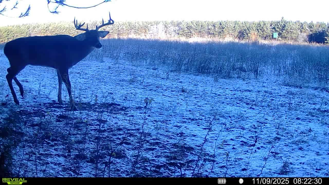 160± acre Monroe County property Located off dead end road,