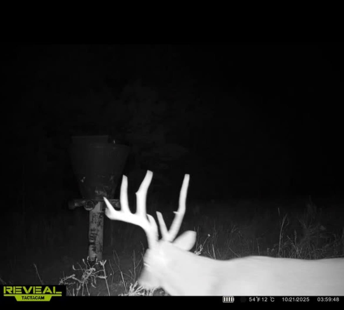 Catcher Ranch: 785 ± Acre Conservation Ranch & Trophy Whitetail Hunting Property Near Stuart, Oklahoma