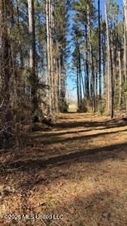Amite County MS Turnkey 45 Acres