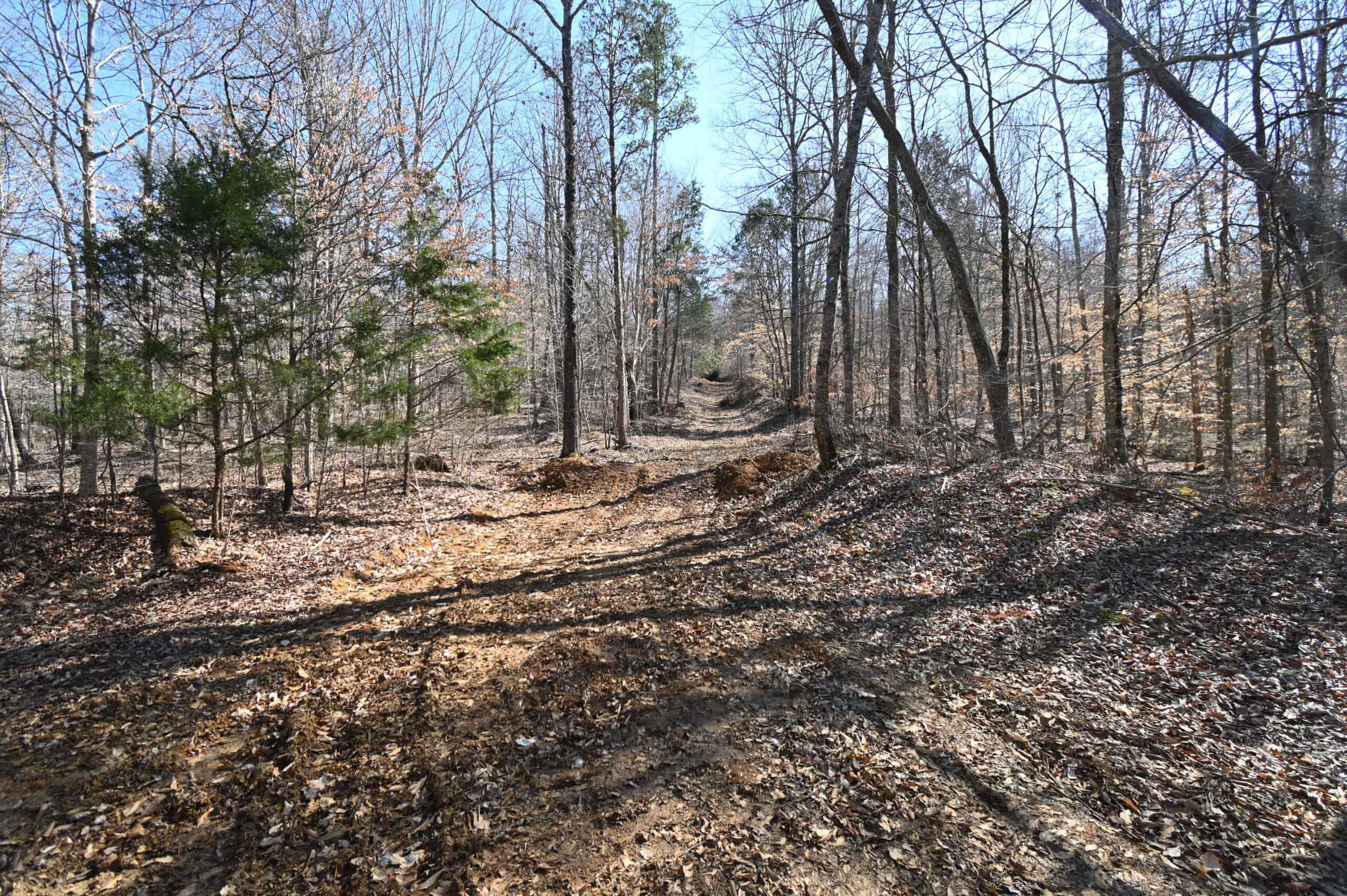 107.63 Acres For Sale in Middle Tennessee!