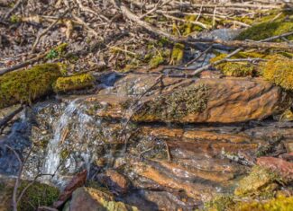 45 +/- Acres Driftless Region of Richland County