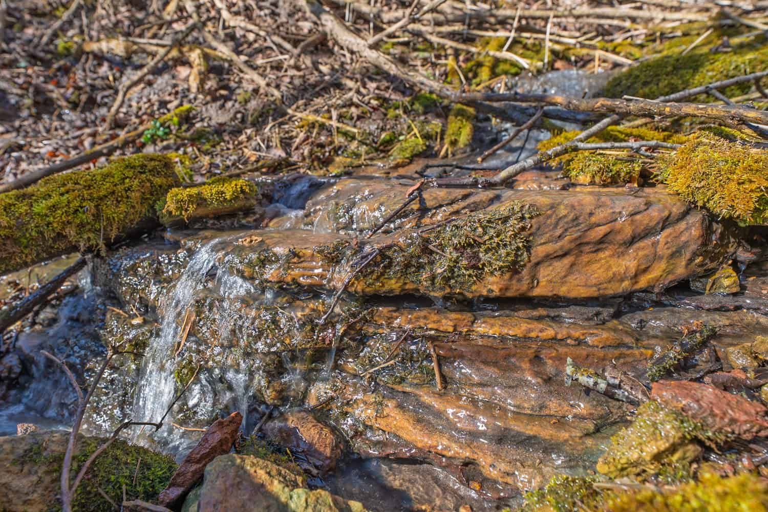 45 +/- Acres Driftless Region of Richland County