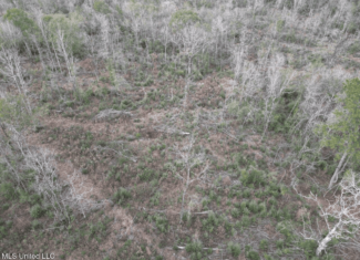 36 Acres in Pike County, Mississippi – Scenic Rural Retreat
