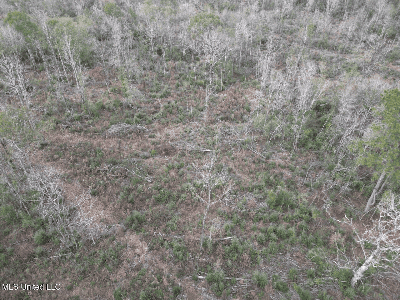 36 Acres in Pike County, Mississippi – Scenic Rural Retreat