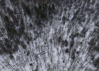 43+/-  Acre Marathon County Hunting, Timber and Rec Tract For Sale