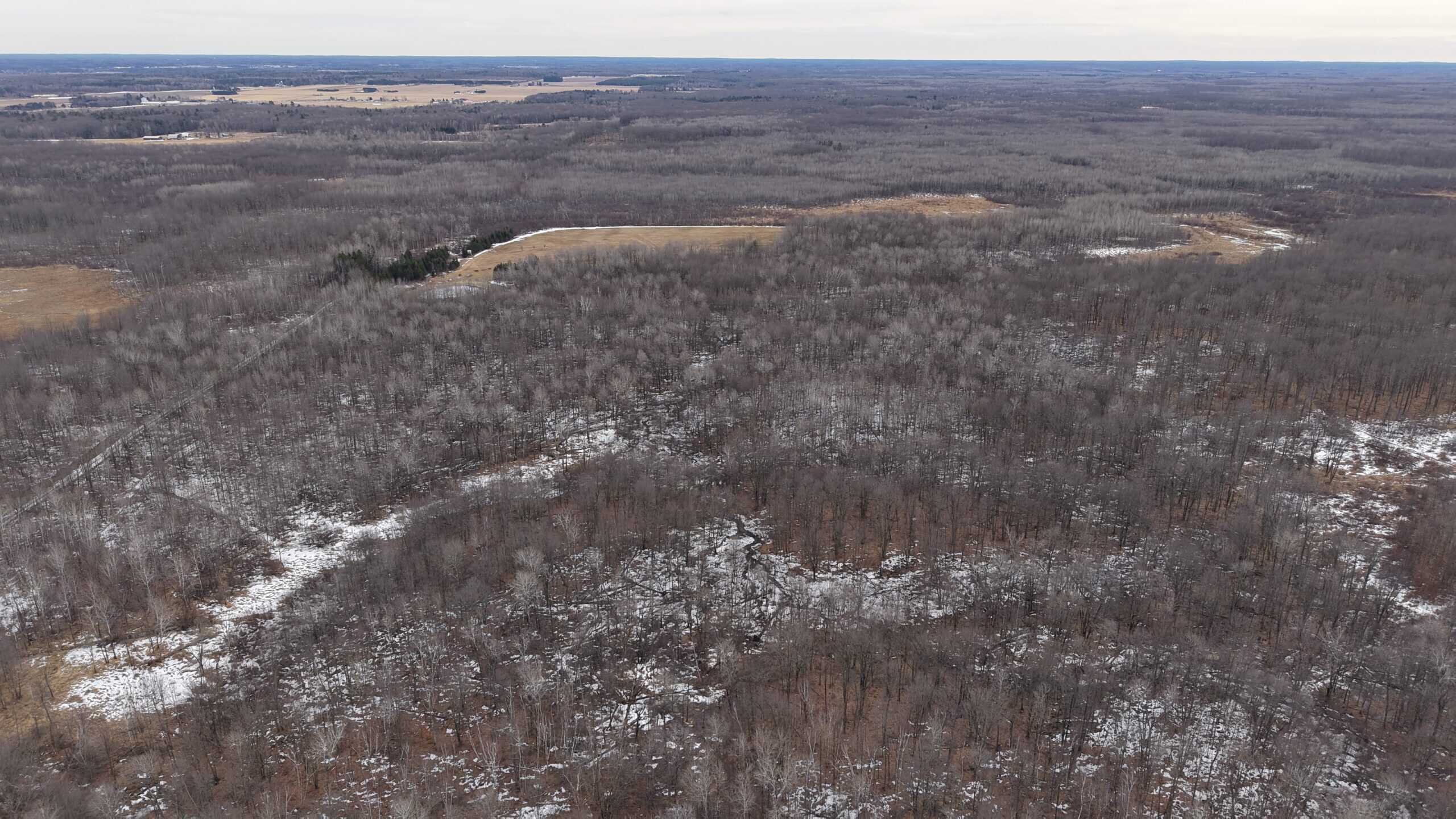 40± acre hunting property outside of Mosinee in Marathon County