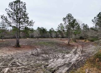 This 38 acres offers a hunting retreat or recreational getaway in Worth Cty GA