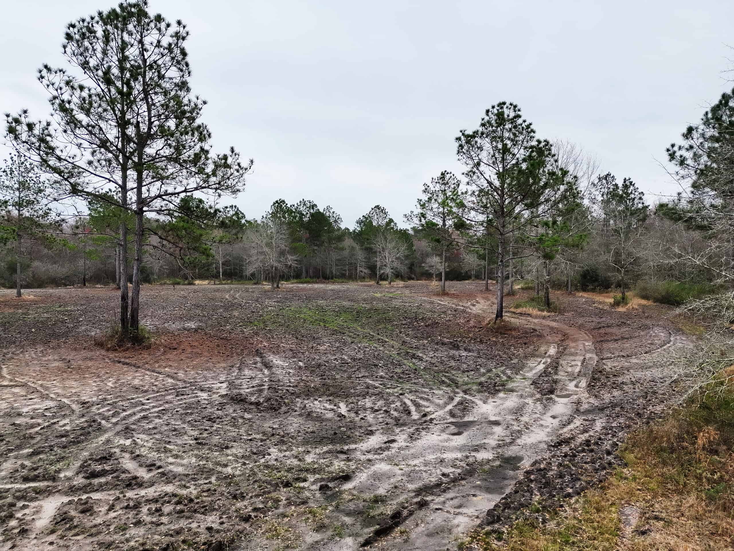 This 38 acres offers a hunting retreat or recreational getaway in Worth Cty GA