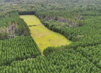160± acre Monroe County property Located off dead end road,