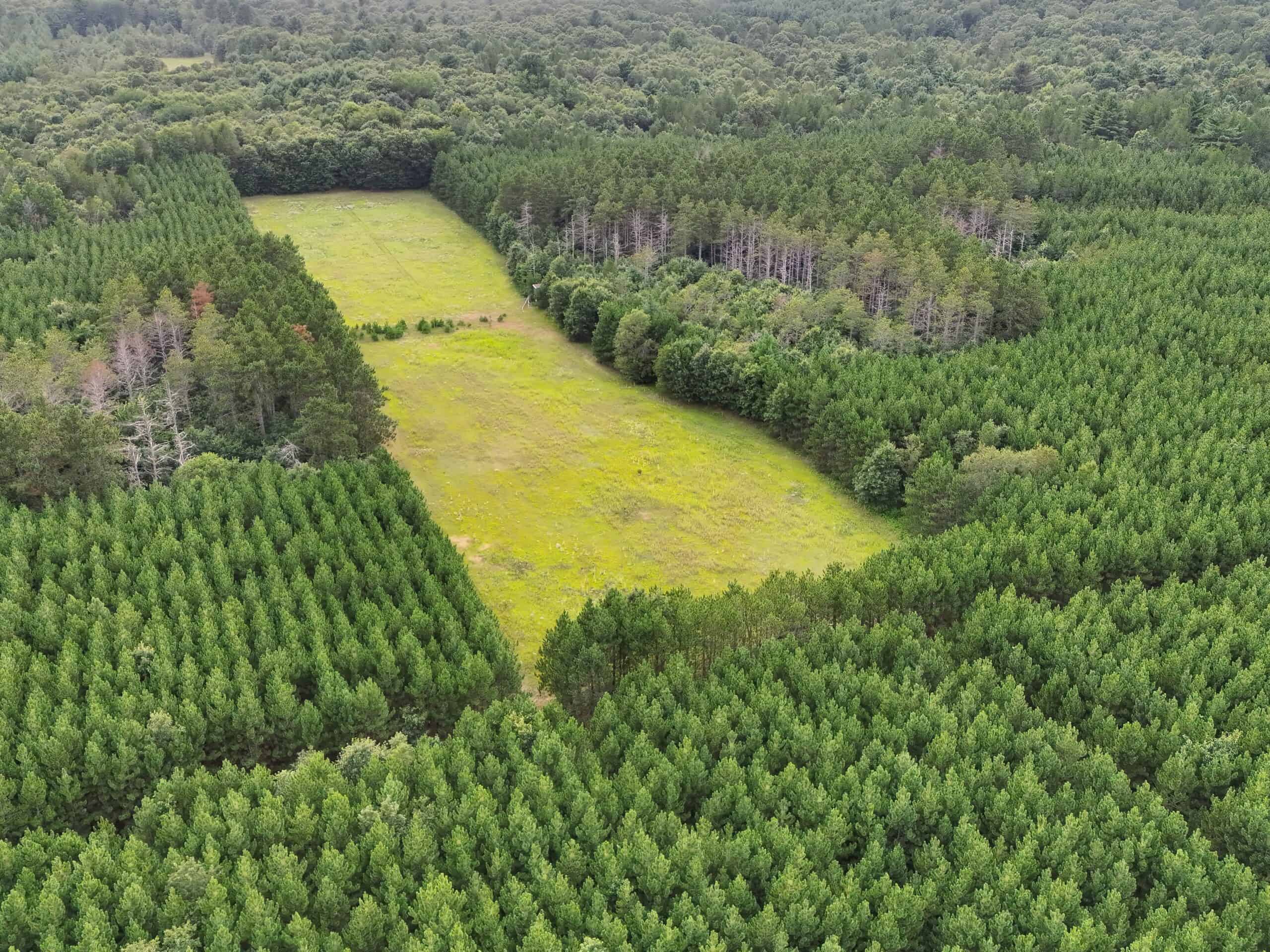 160± acre Monroe County property Located off dead end road,