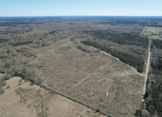 123± Acres Centreville MS on Chance Rd Amite County