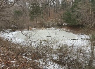 Premier Nebraska Hunting Retreat,  25 acres with Log Cabin