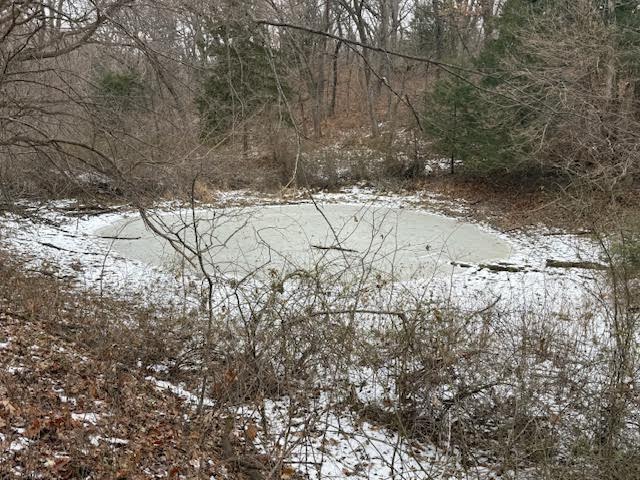 Premier Nebraska Hunting Retreat,  25 acres with Log Cabin