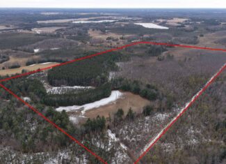 Portage County Wisconsin 80 Acres of Hunting Land for Sale