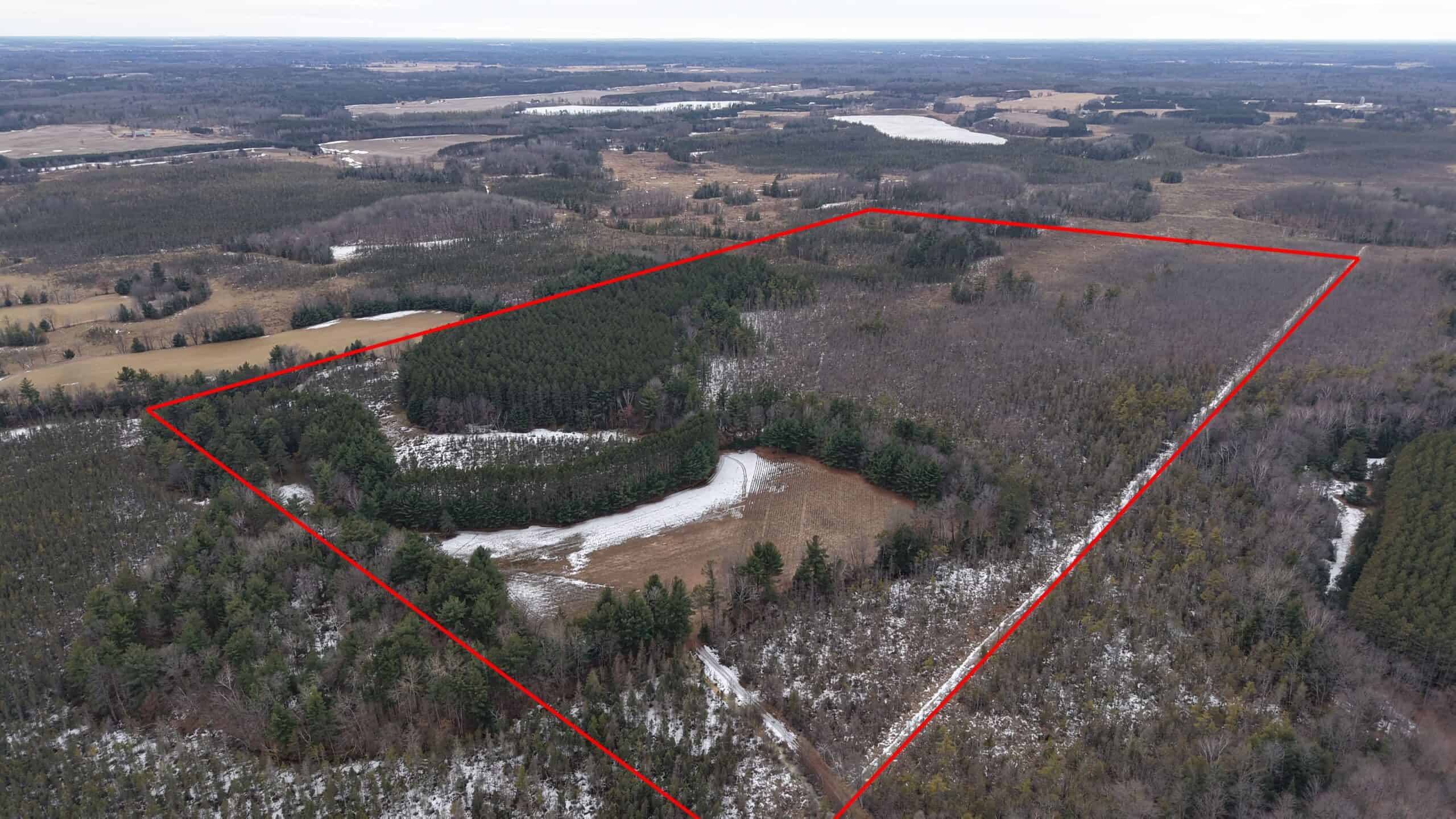 Portage County Wisconsin 80 Acres of Hunting Land for Sale