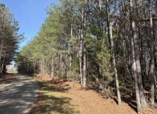 LAND & HOME FOR SALE IN TN, BASEMENT, WELL, CREEK, WOODED