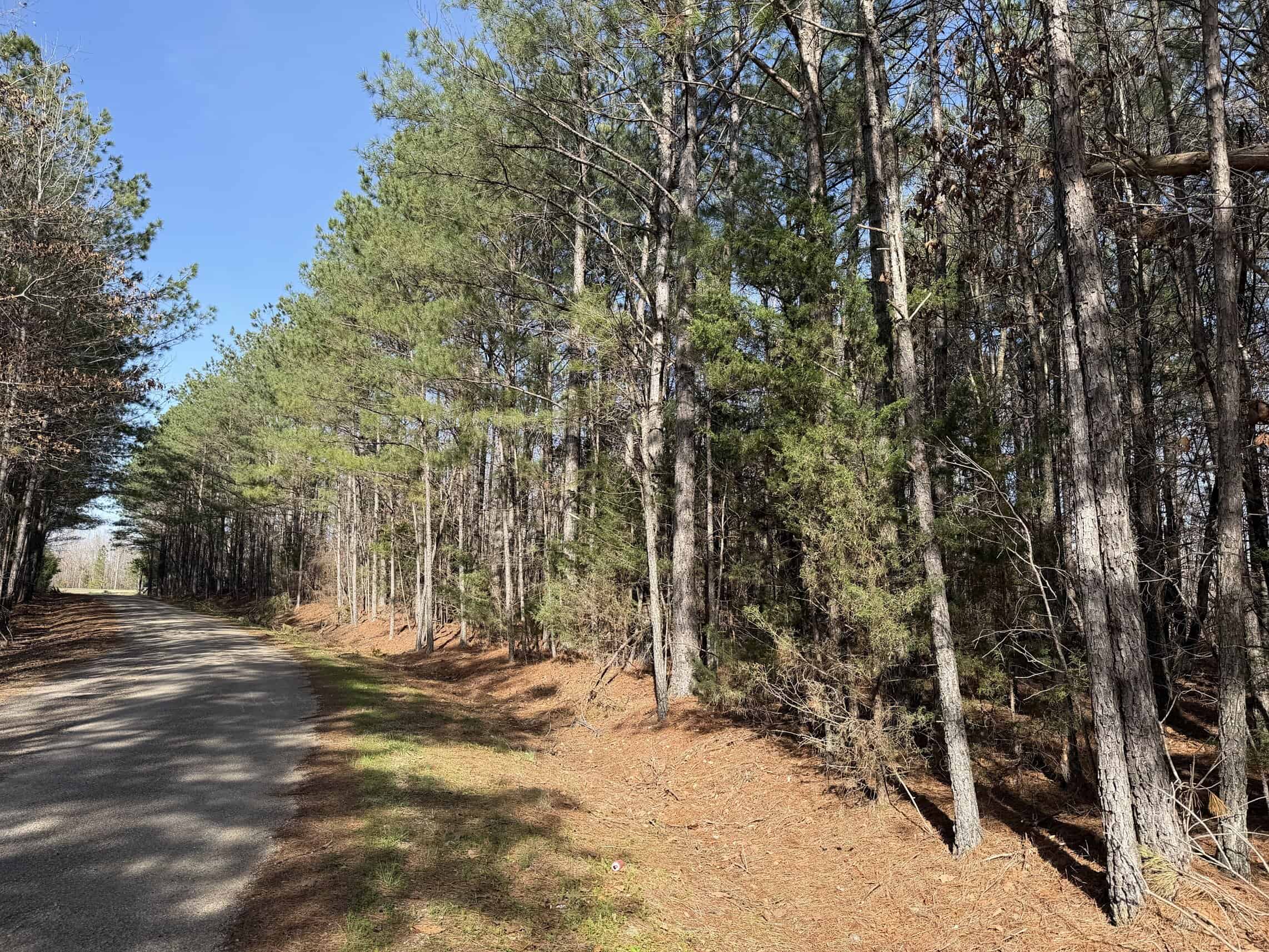 LAND & HOME FOR SALE IN TN, BASEMENT, WELL, CREEK, WOODED