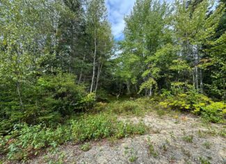 50 Acre Parcel in Downeast Maine – Northfield