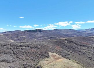 36 Acres in Harrison Creek, Collbran,  CO