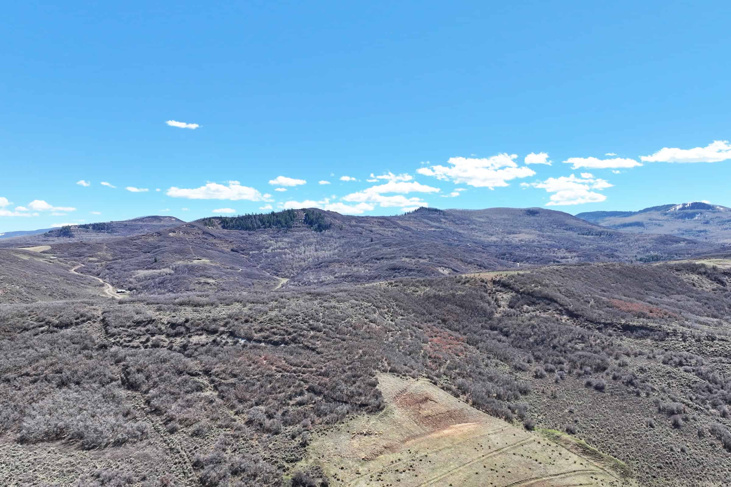36 Acres in Harrison Creek, Collbran,  CO