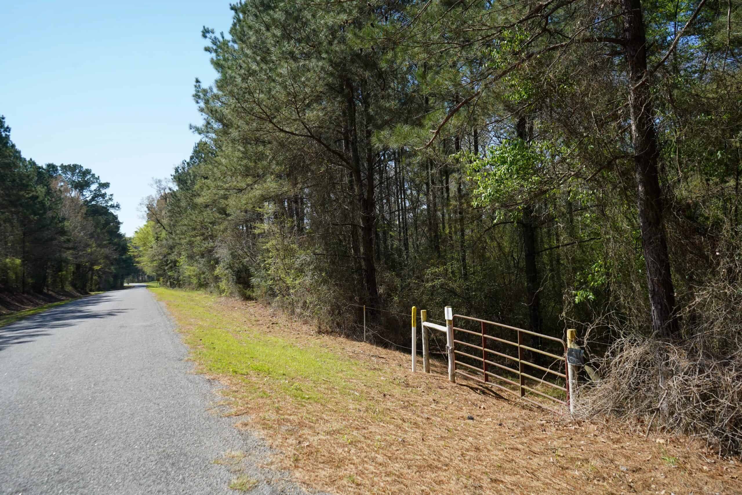 Northeast Lincoln Parish Timberland for Sale