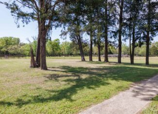 East Texas Recreational Ranch Near Ben Wheeler in Van Zandt County