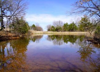 Central Oklahoma Hobby Horse Farm For Sale
