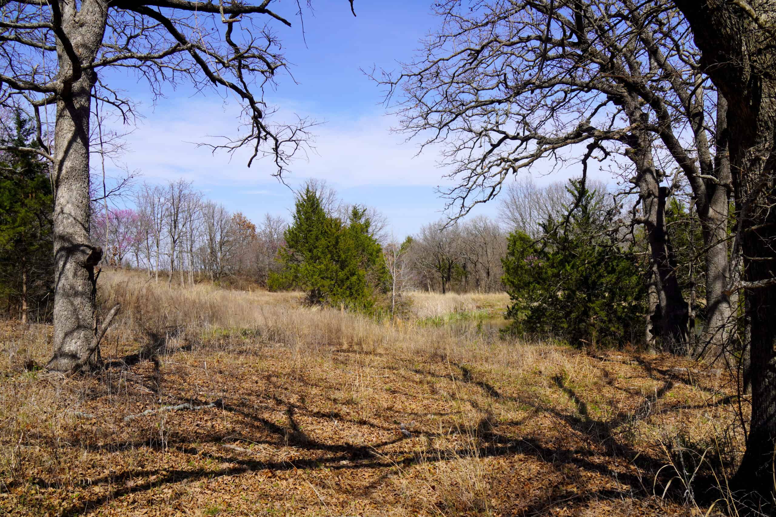 Central Oklahoma Hobby Horse Farm For Sale
