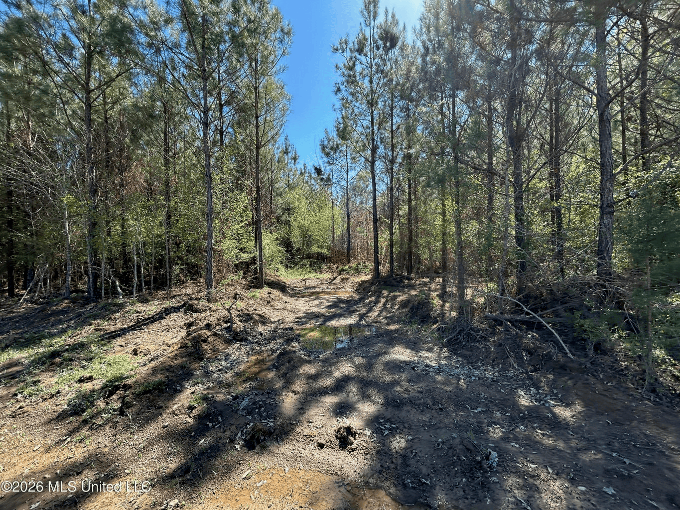 123± Acres Centreville MS on Chance Rd Amite County
