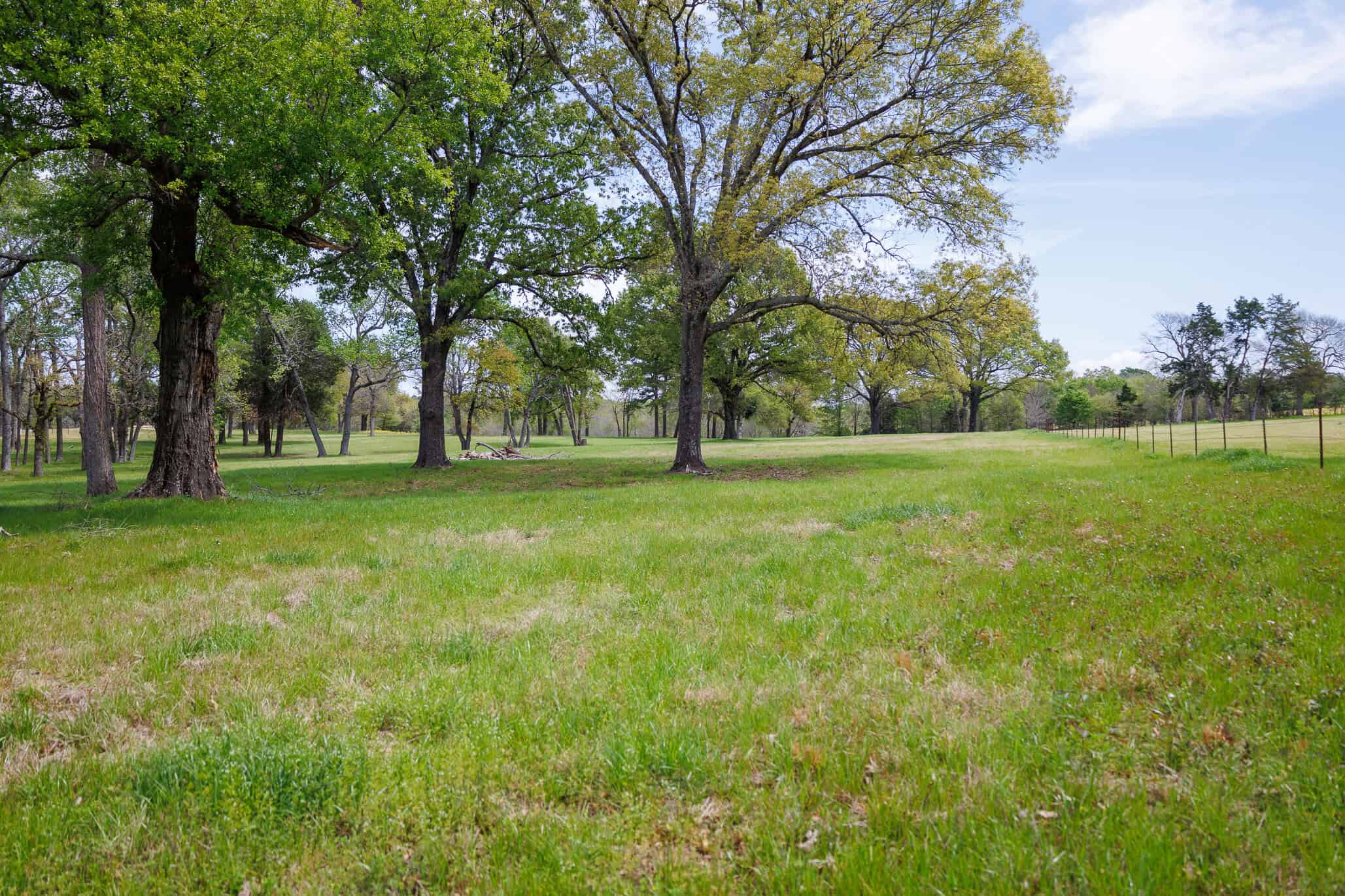 East Texas Recreational Ranch Near Ben Wheeler in Van Zandt County