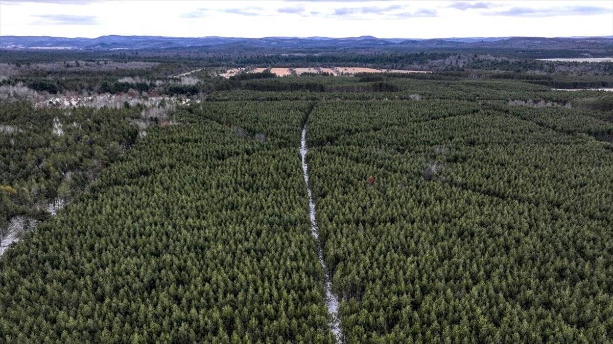 160± acre Monroe County property Located off dead end road,
