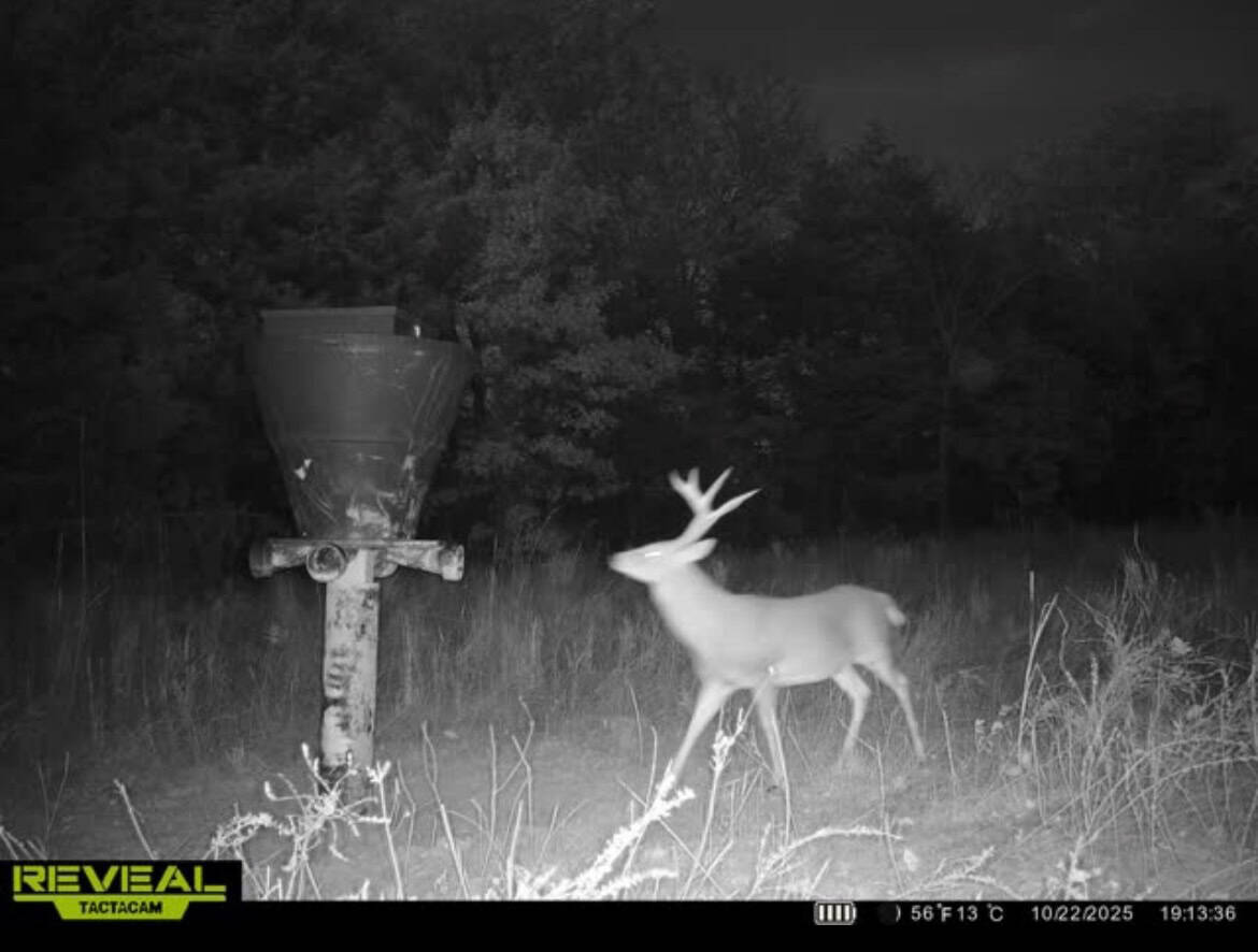 Catcher Ranch: 785 ± Acre Conservation Ranch & Trophy Whitetail Hunting Property Near Stuart, Oklahoma