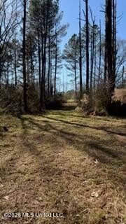 Amite County MS Turnkey 45 Acres