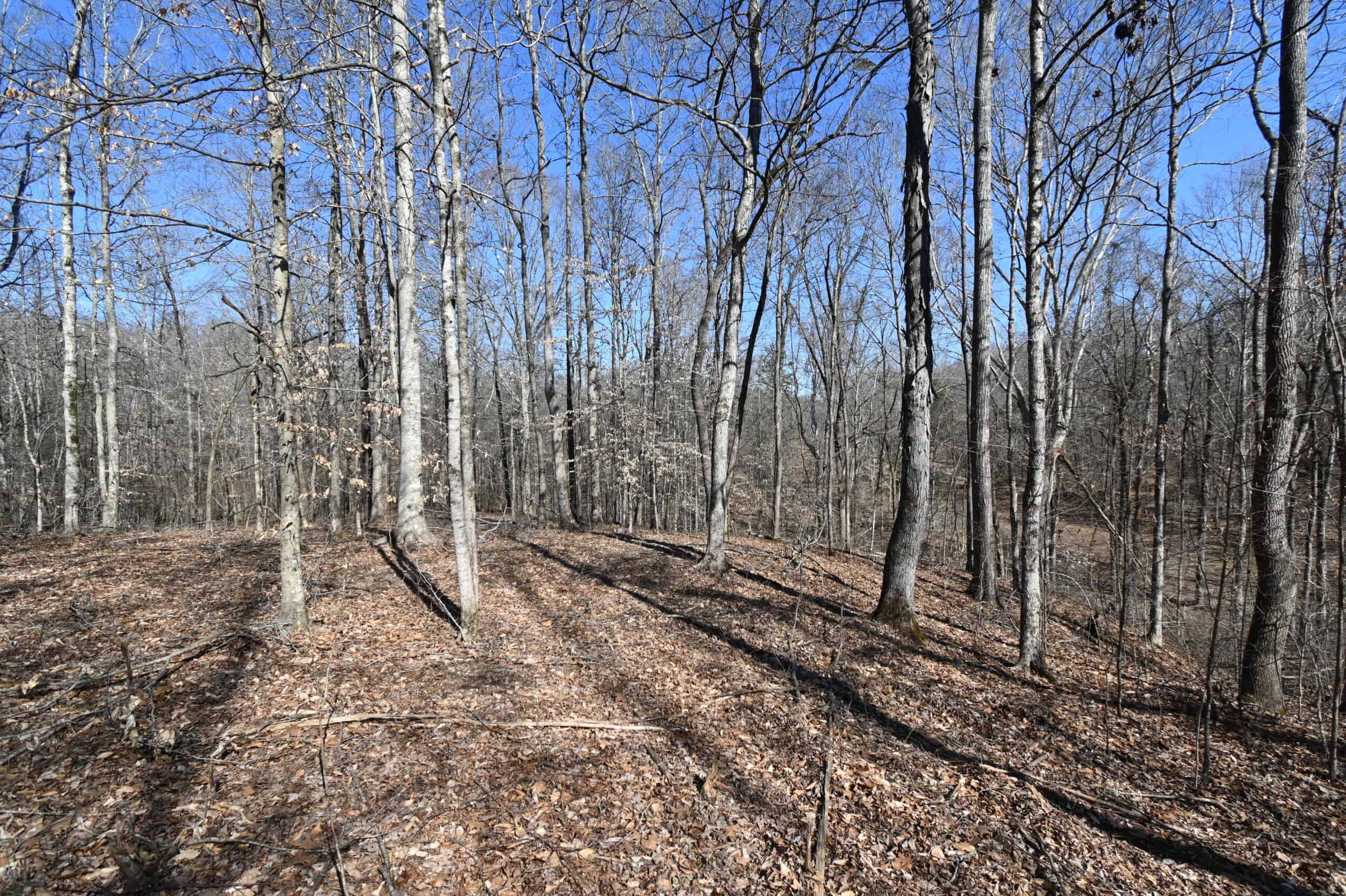 107.63 Acres For Sale in Middle Tennessee!