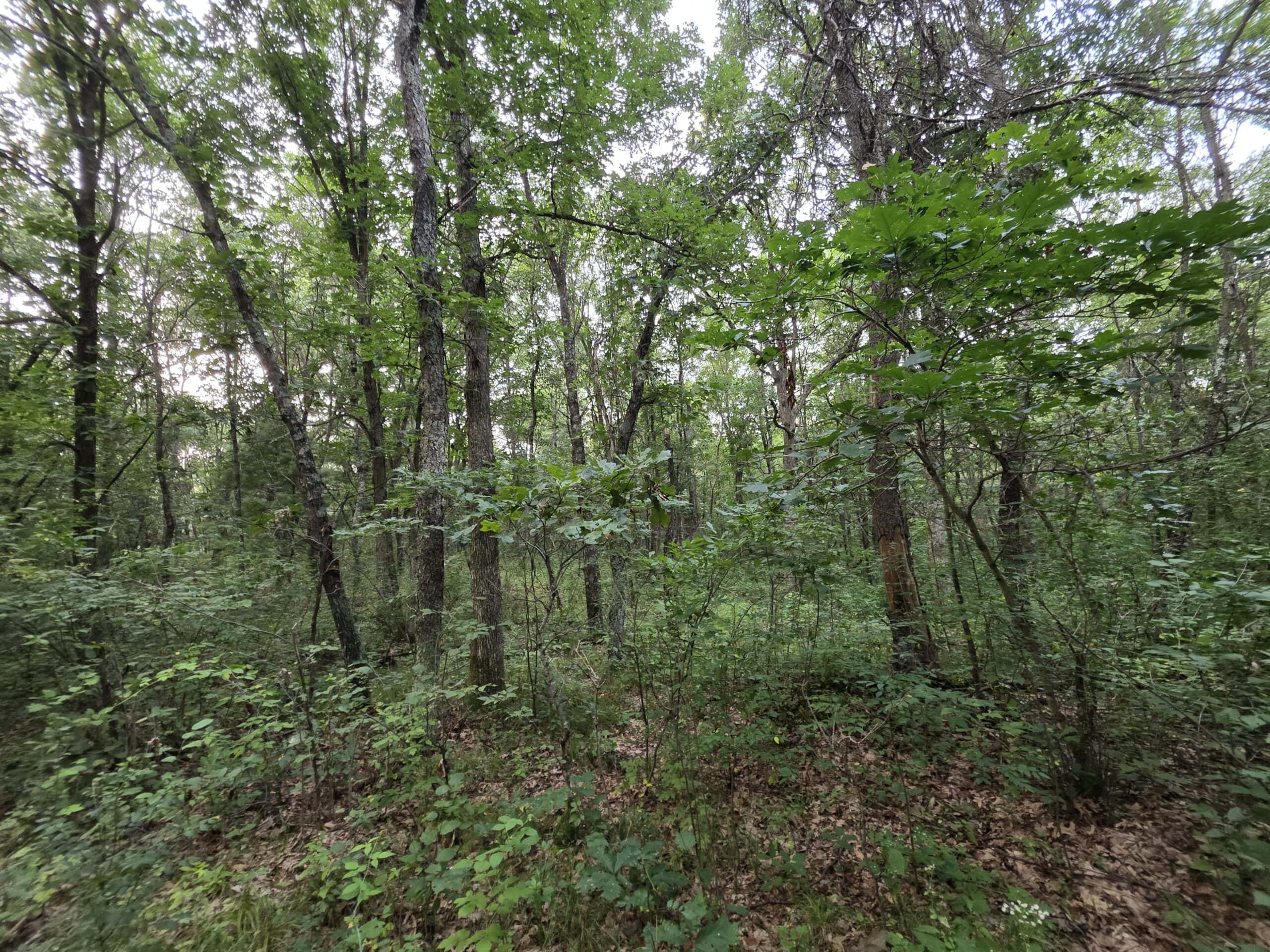 160± acre Monroe County property Located off dead end road,