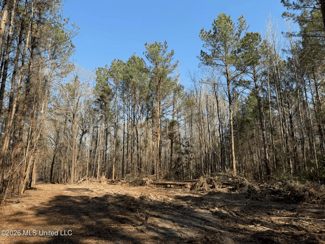 Land for Sale in Simpson County