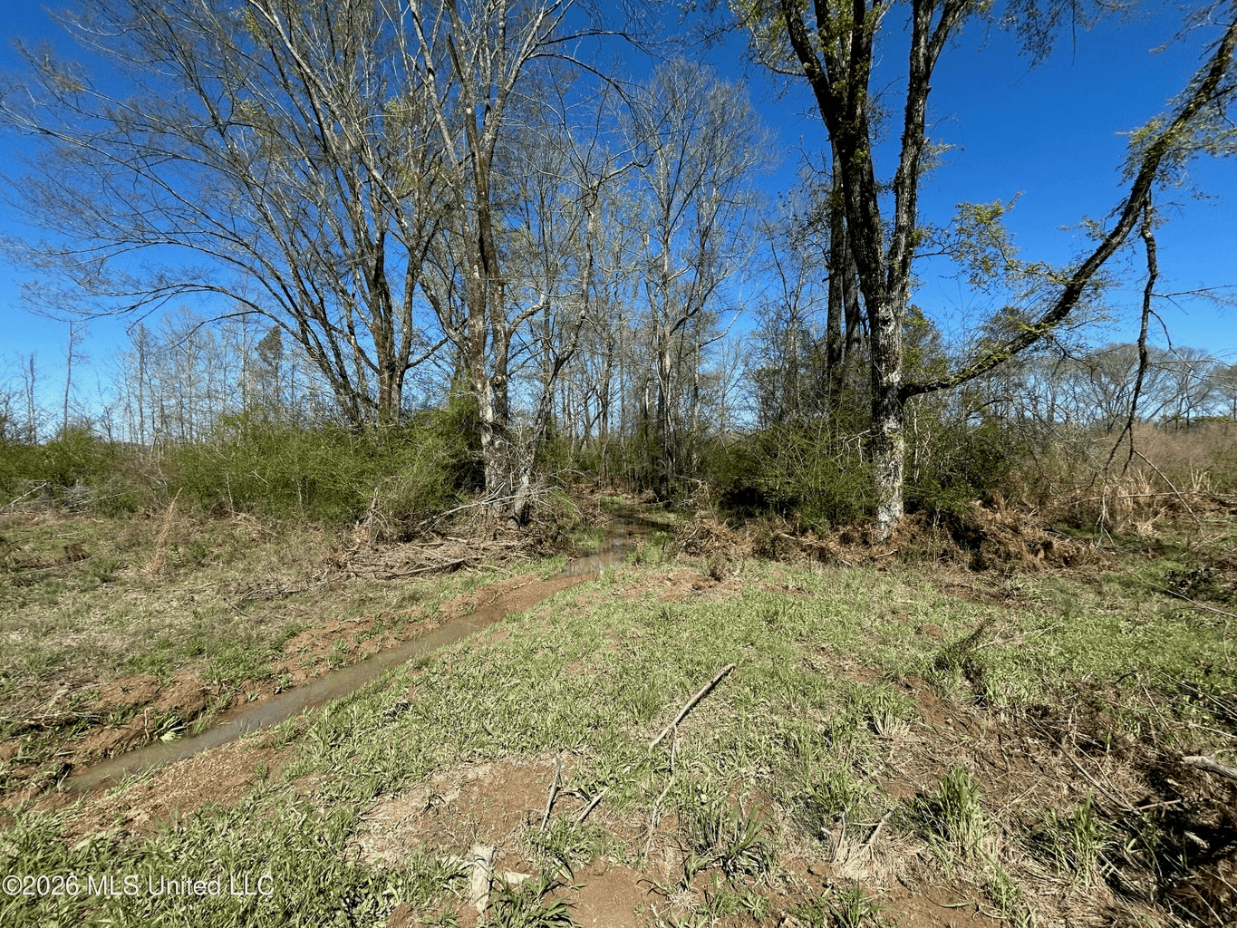 123± Acres Centreville MS on Chance Rd Amite County