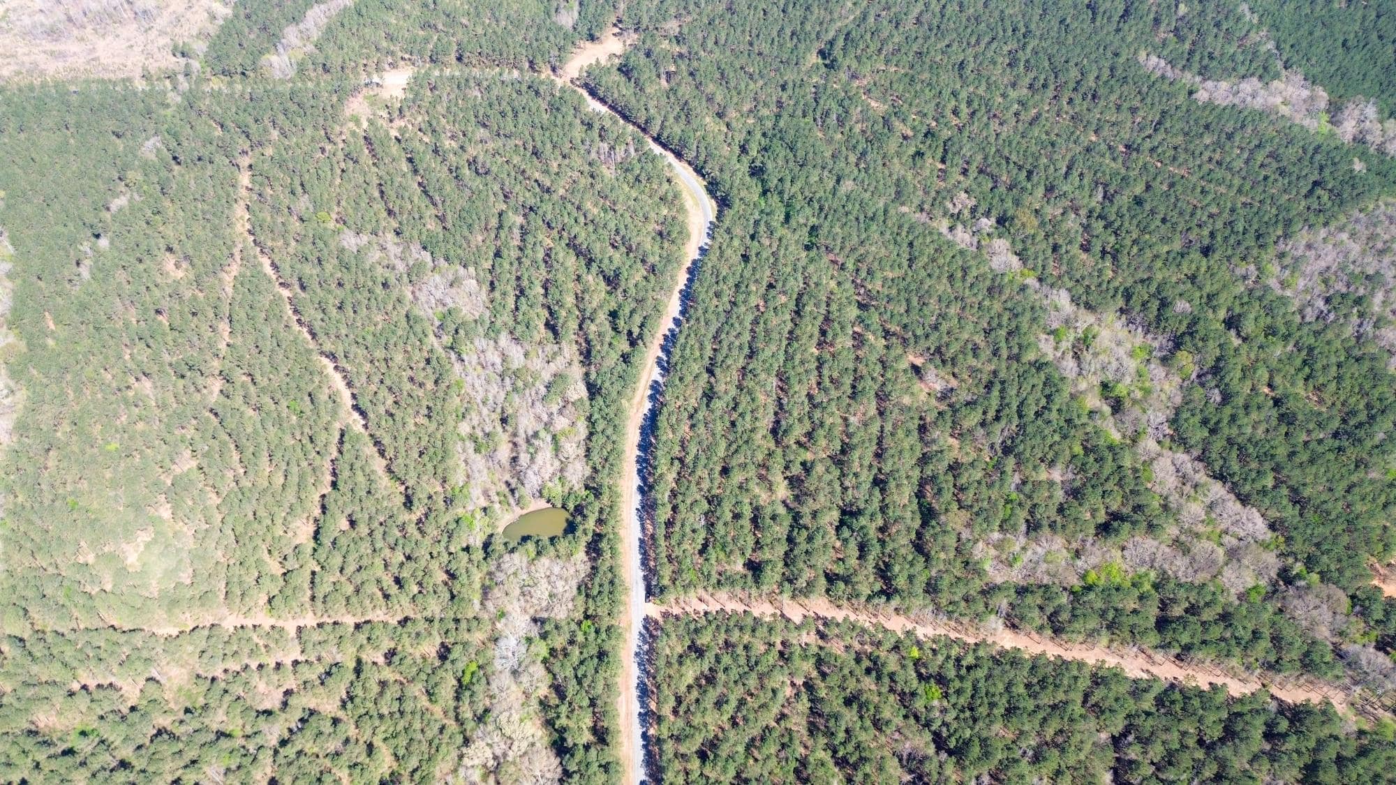 Northeast Lincoln Parish Timberland for Sale