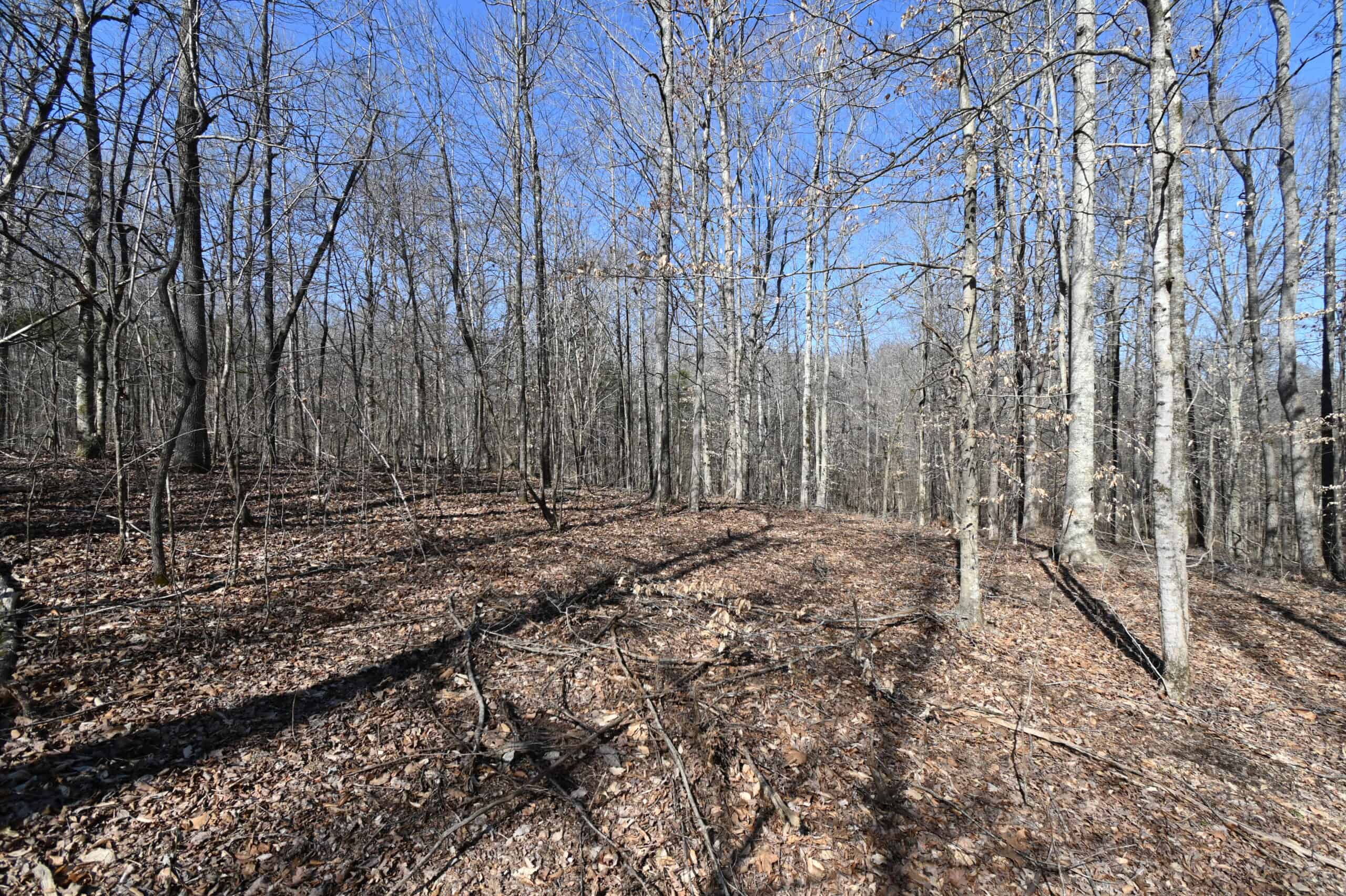107.63 Acres For Sale in Middle Tennessee!