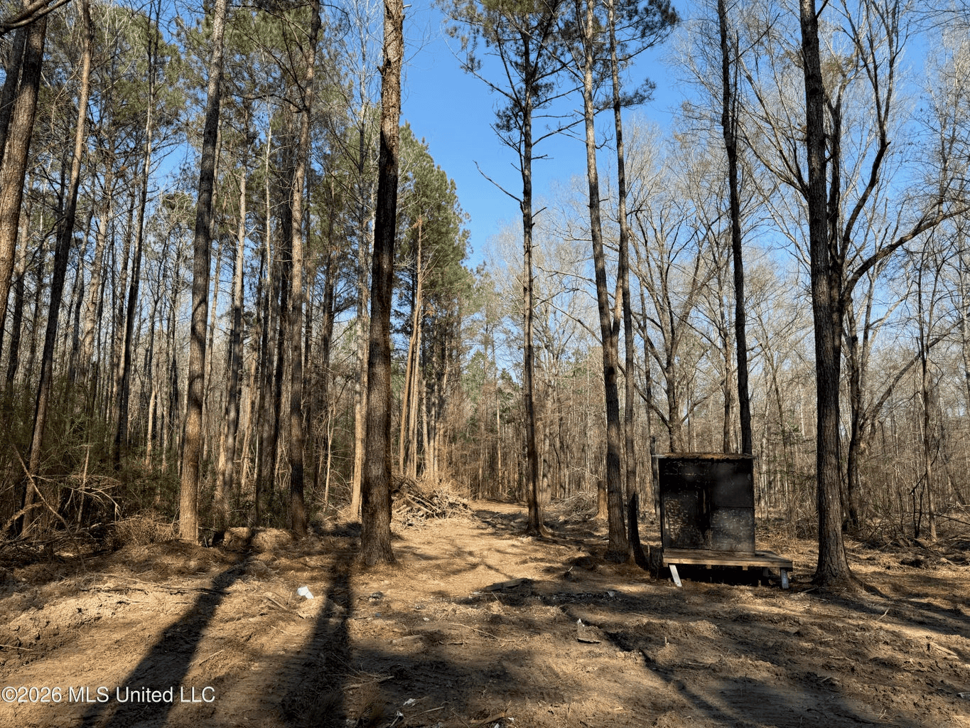 Land for Sale in Simpson County