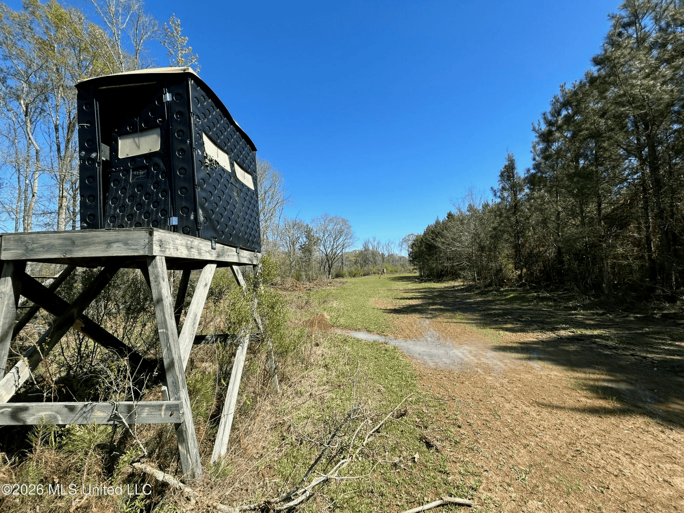 123± Acres Centreville MS on Chance Rd Amite County