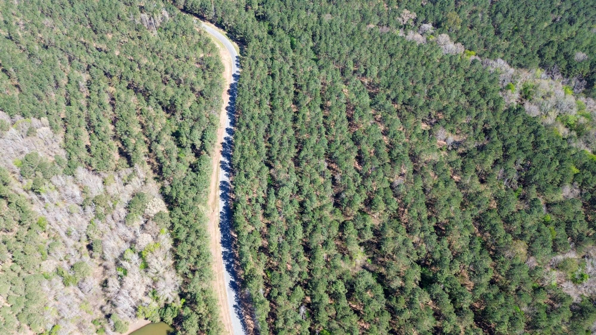 Northeast Lincoln Parish Timberland for Sale
